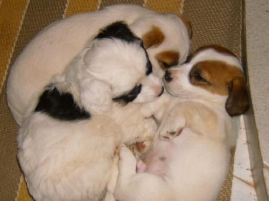 Фото Aqua Marine