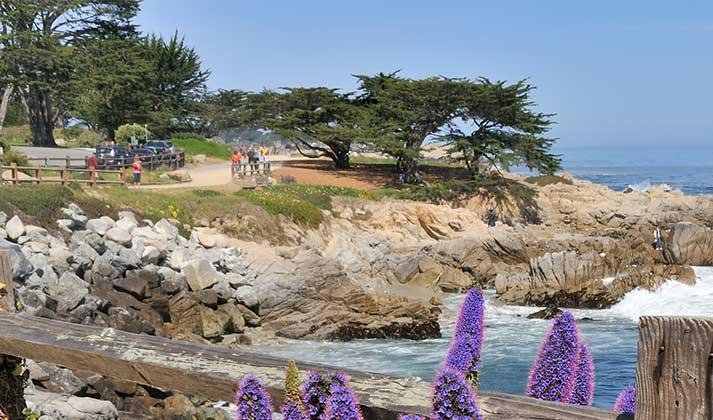 Фото Wave Street Inn