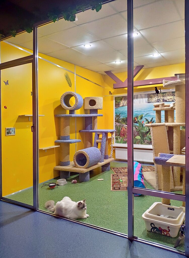 Pet hotel Murrlandia, Saint Petersburg, photo