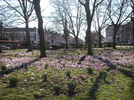 Фото Greenland Villa - Guest house