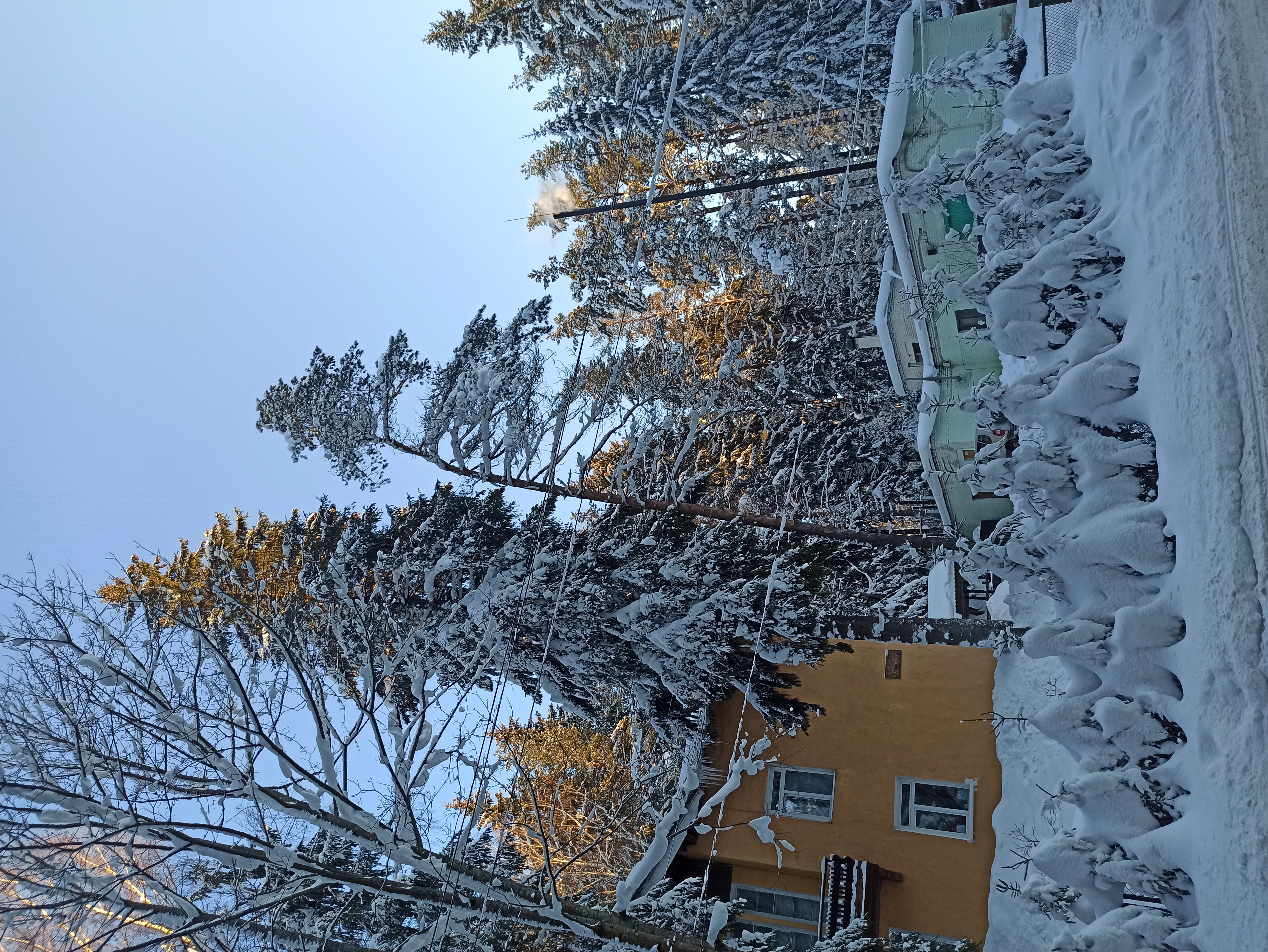 Фото Динамо