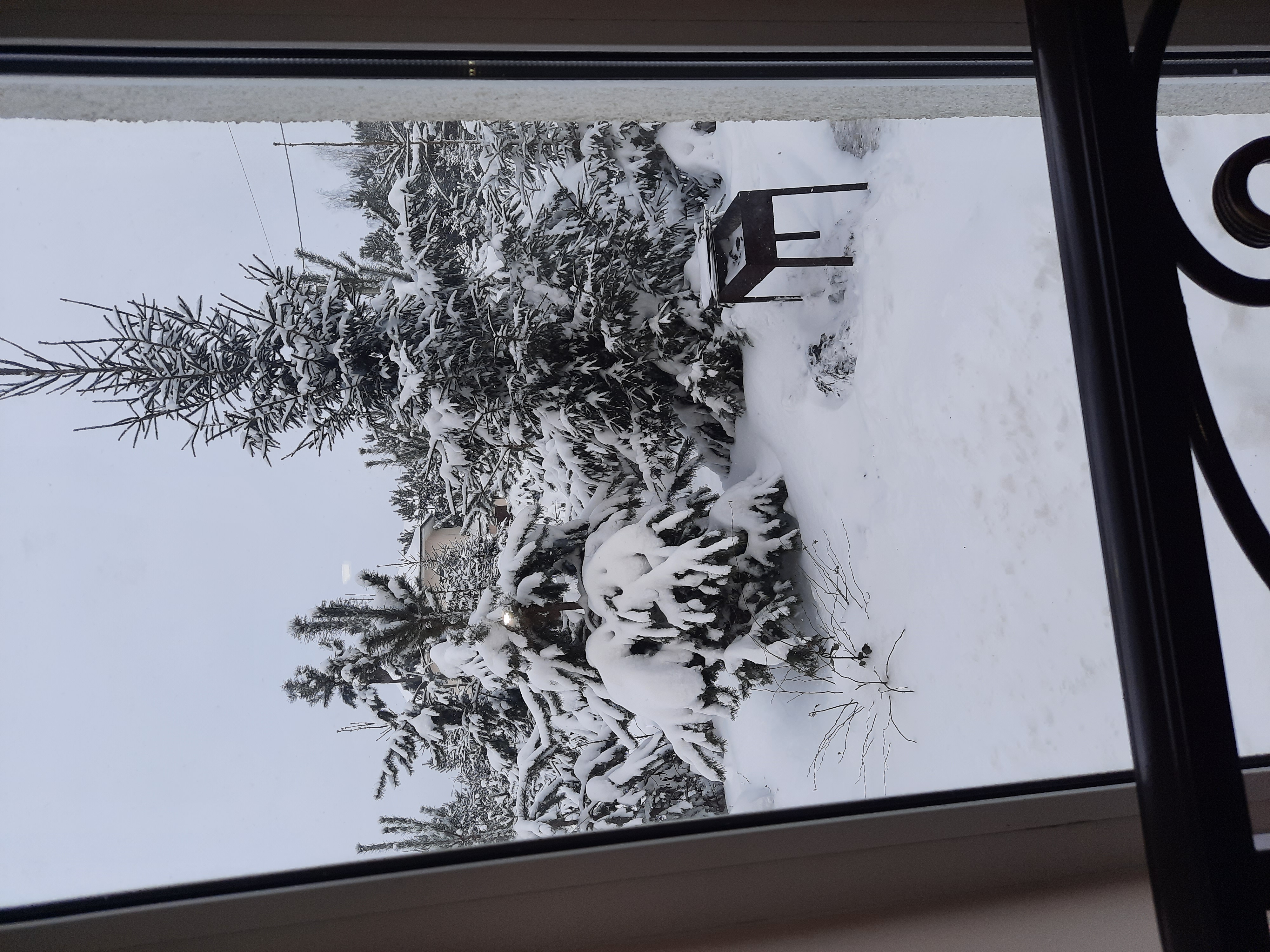 Фото Алирико