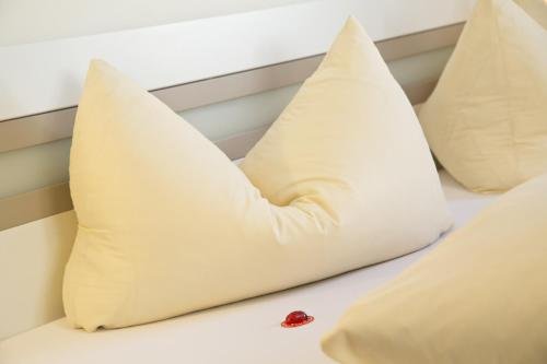 Фото Alphotel Mittersill