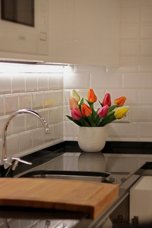 Фото Luxury Penthouse Historical Center