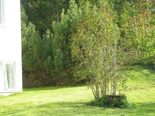 Фото Mullsjo Folkhogskola