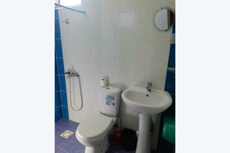 Фото Кенгуру