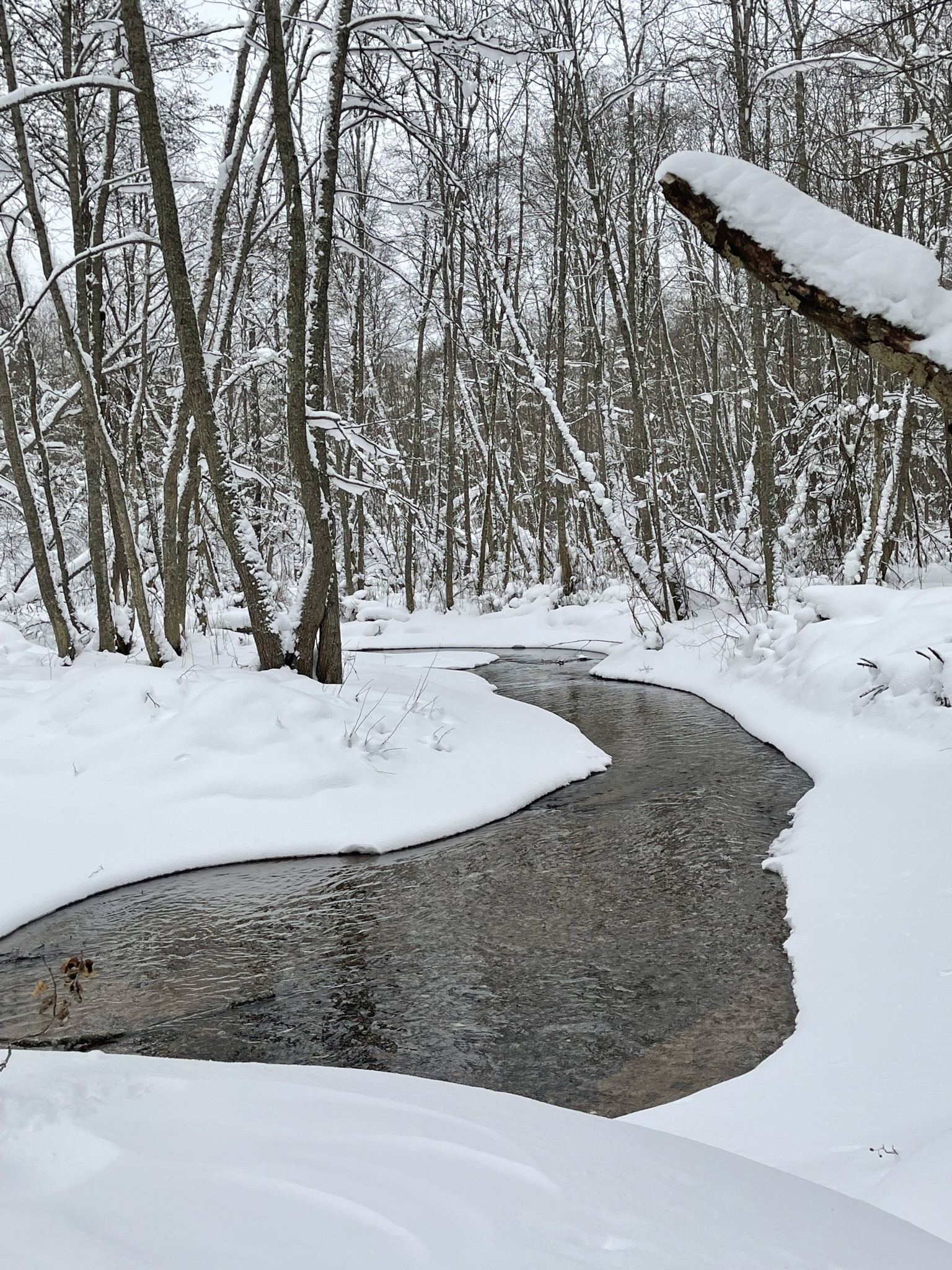 Фото Киногородок
