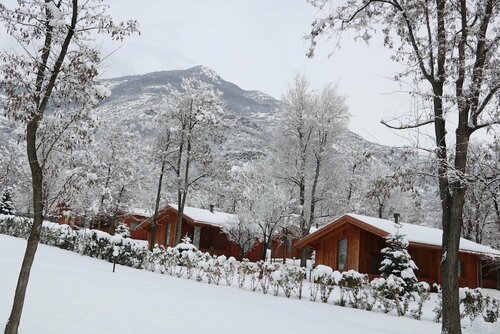Гостиница Lazy Bee Camping Village
