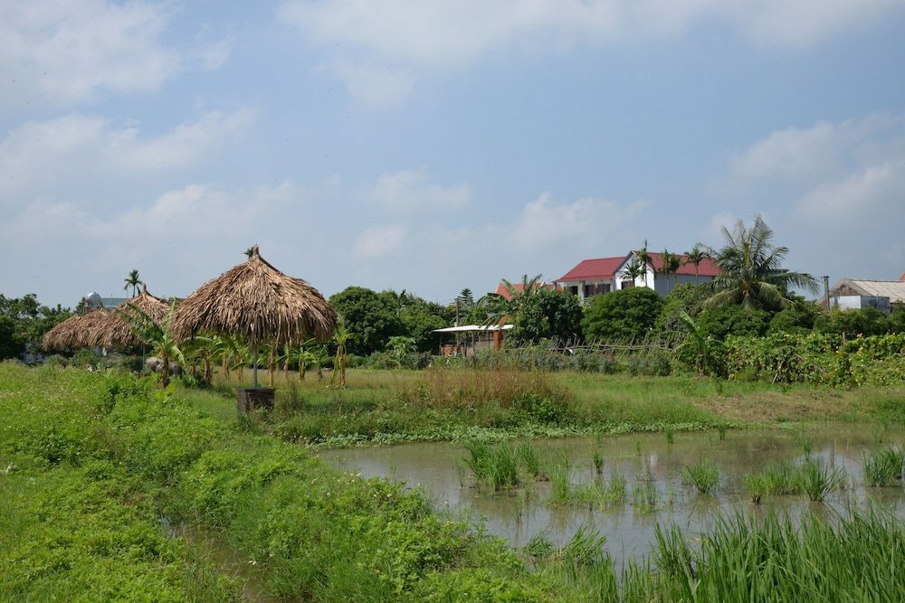 Hotel Viet Farm Homestay, Hanoi, photo