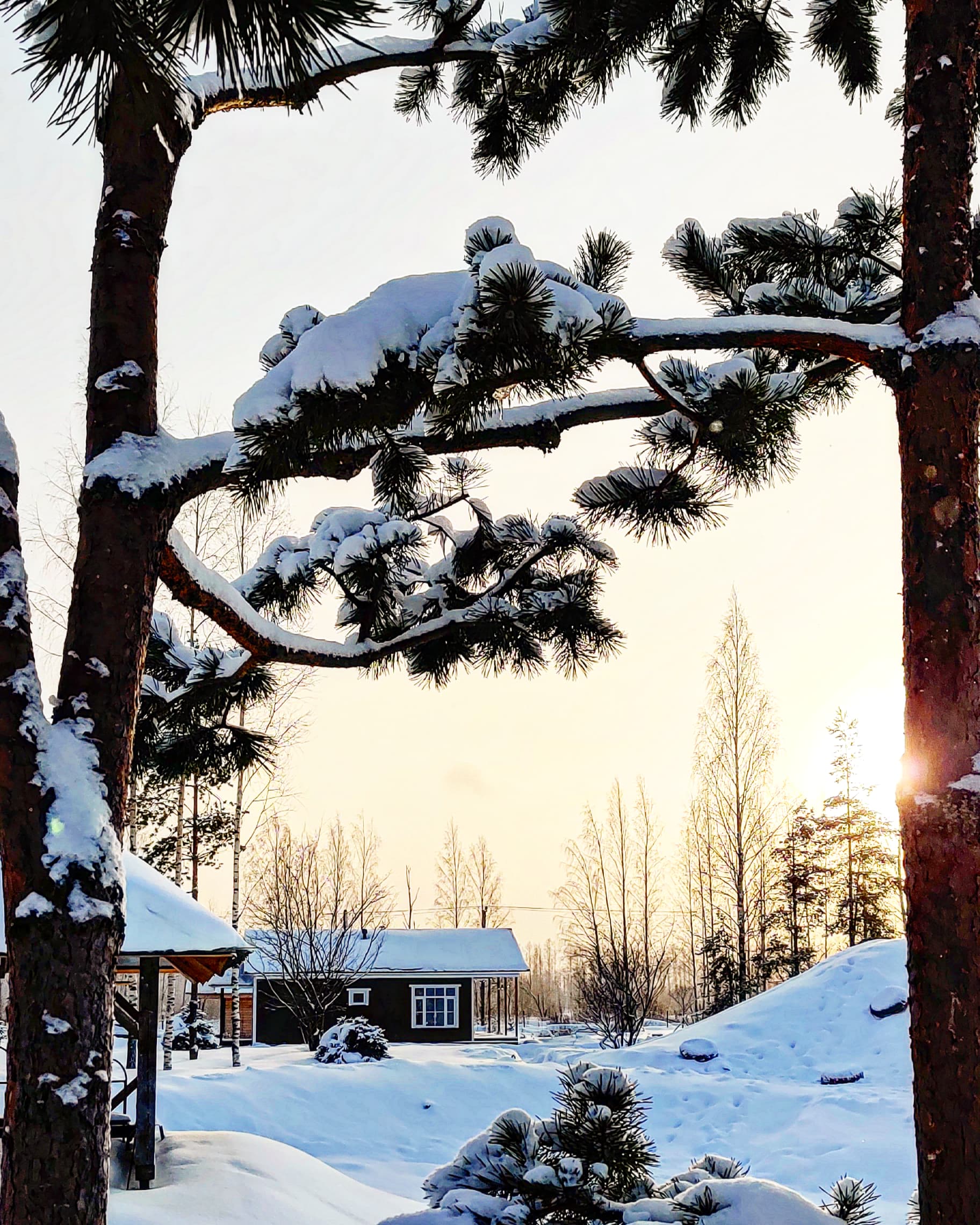 Фото Мануки эн