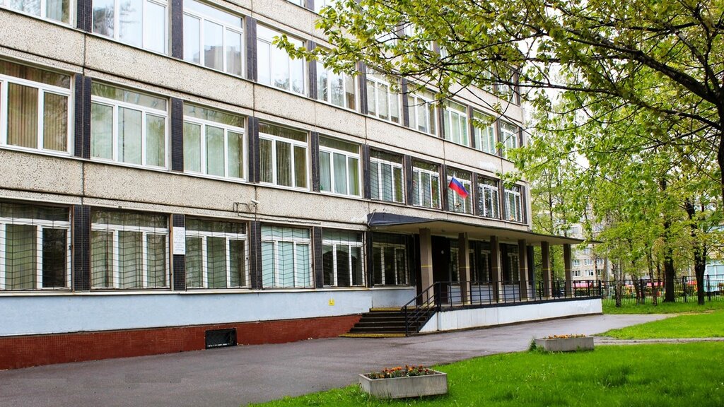 Гимназия no 227 ул турку 30 фото