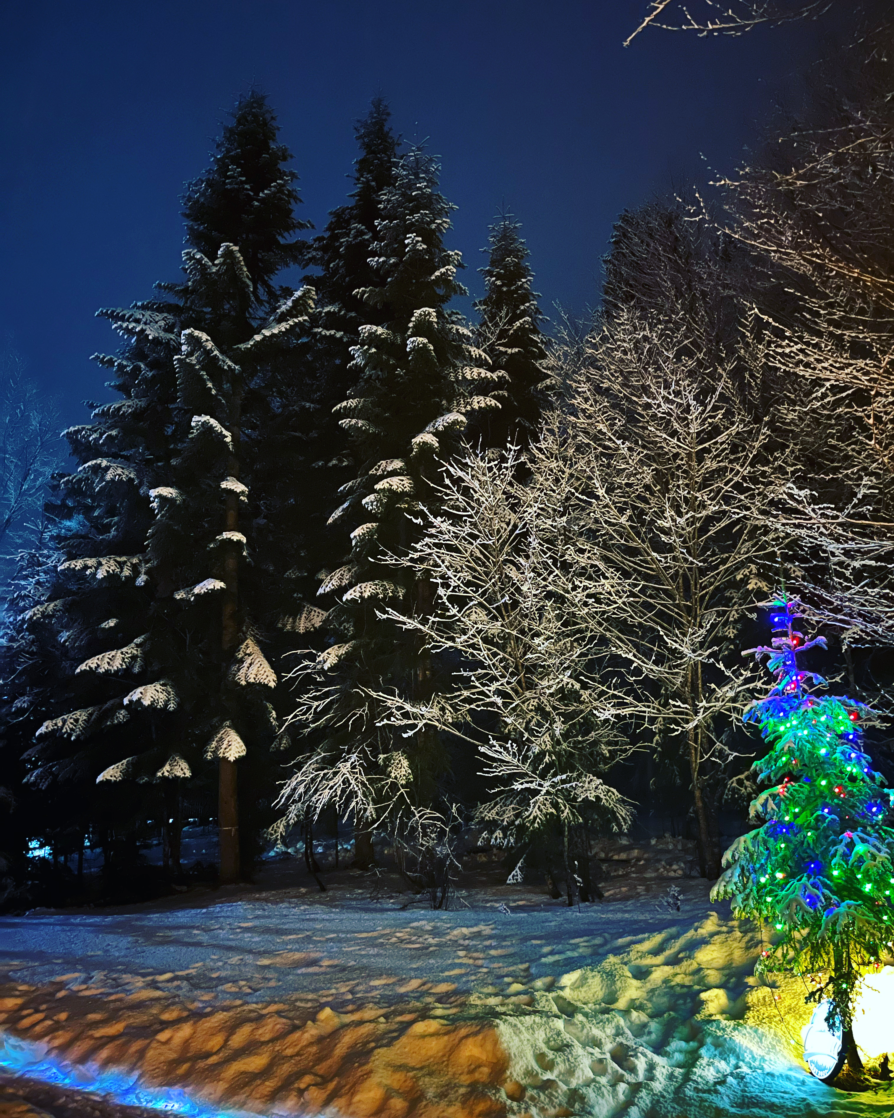 Фото Сияние Family Club