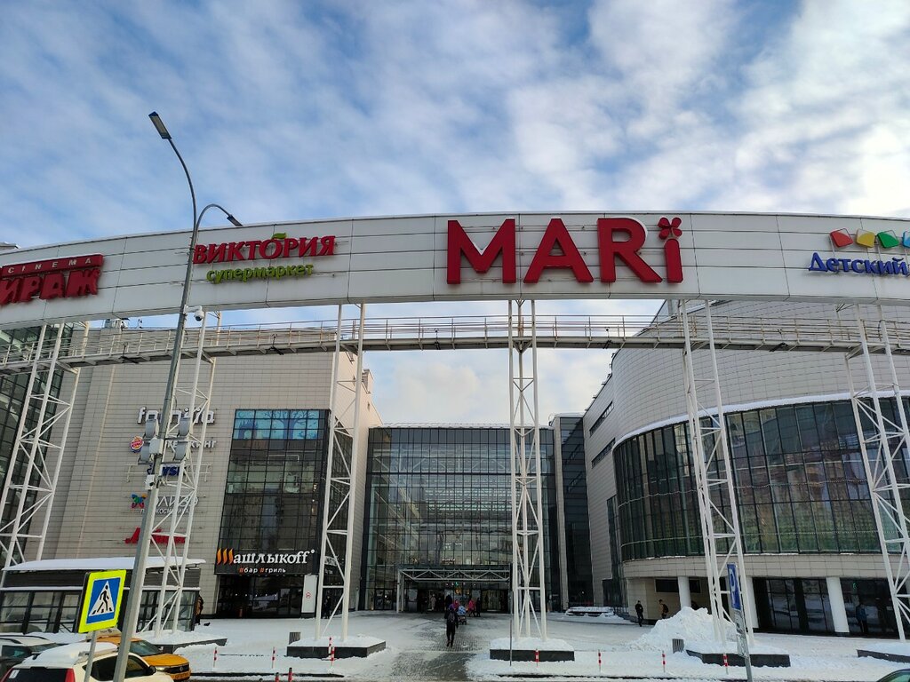 Payment terminal Elecsnet, Moscow, photo