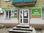Zoo43 (Vorovskogo Street, 31), pet shop