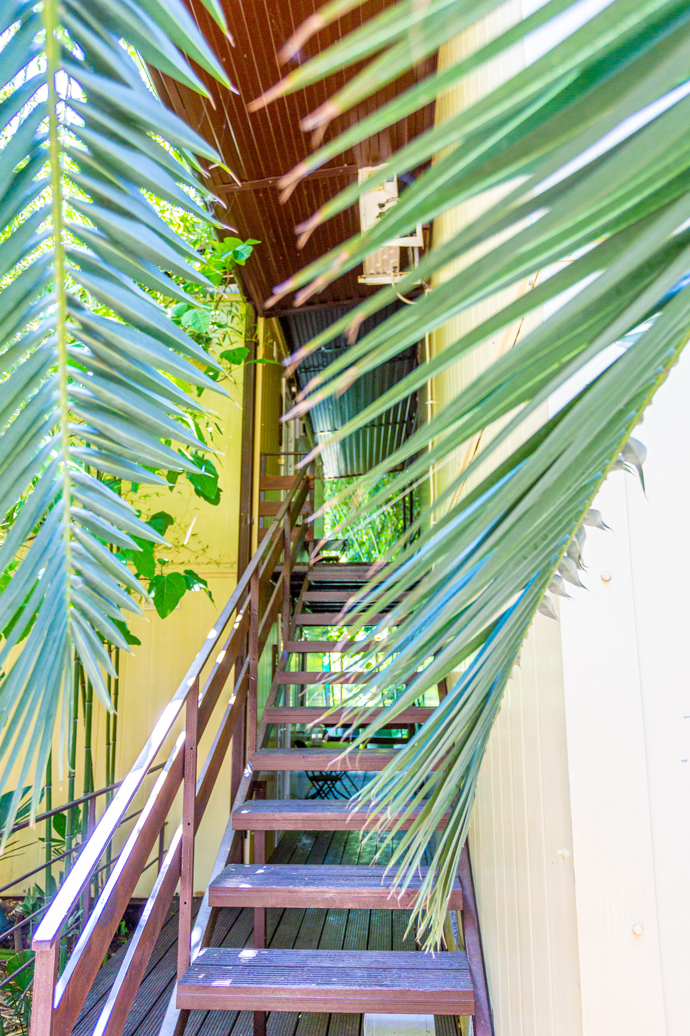 Фото Бамбук хутор