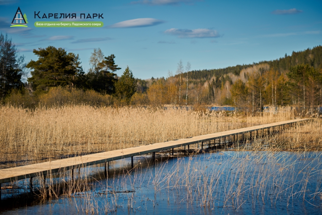 Фото Карелия парк