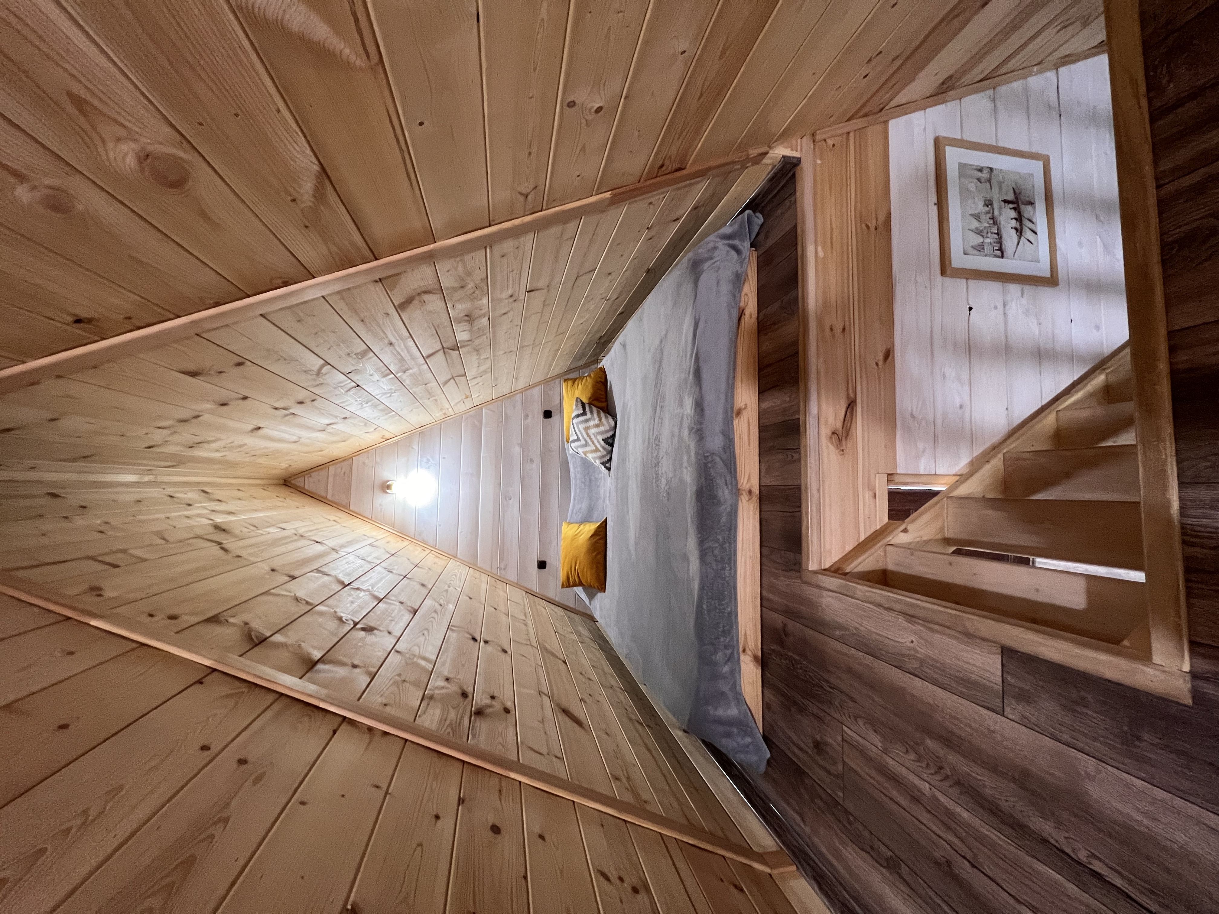 Фото Ёлки House