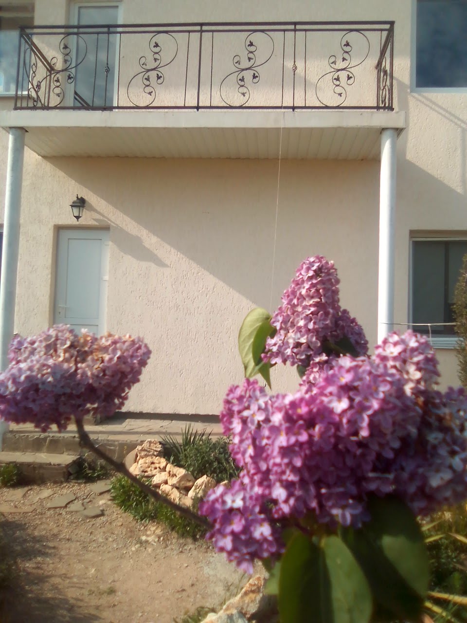 Фото Империал