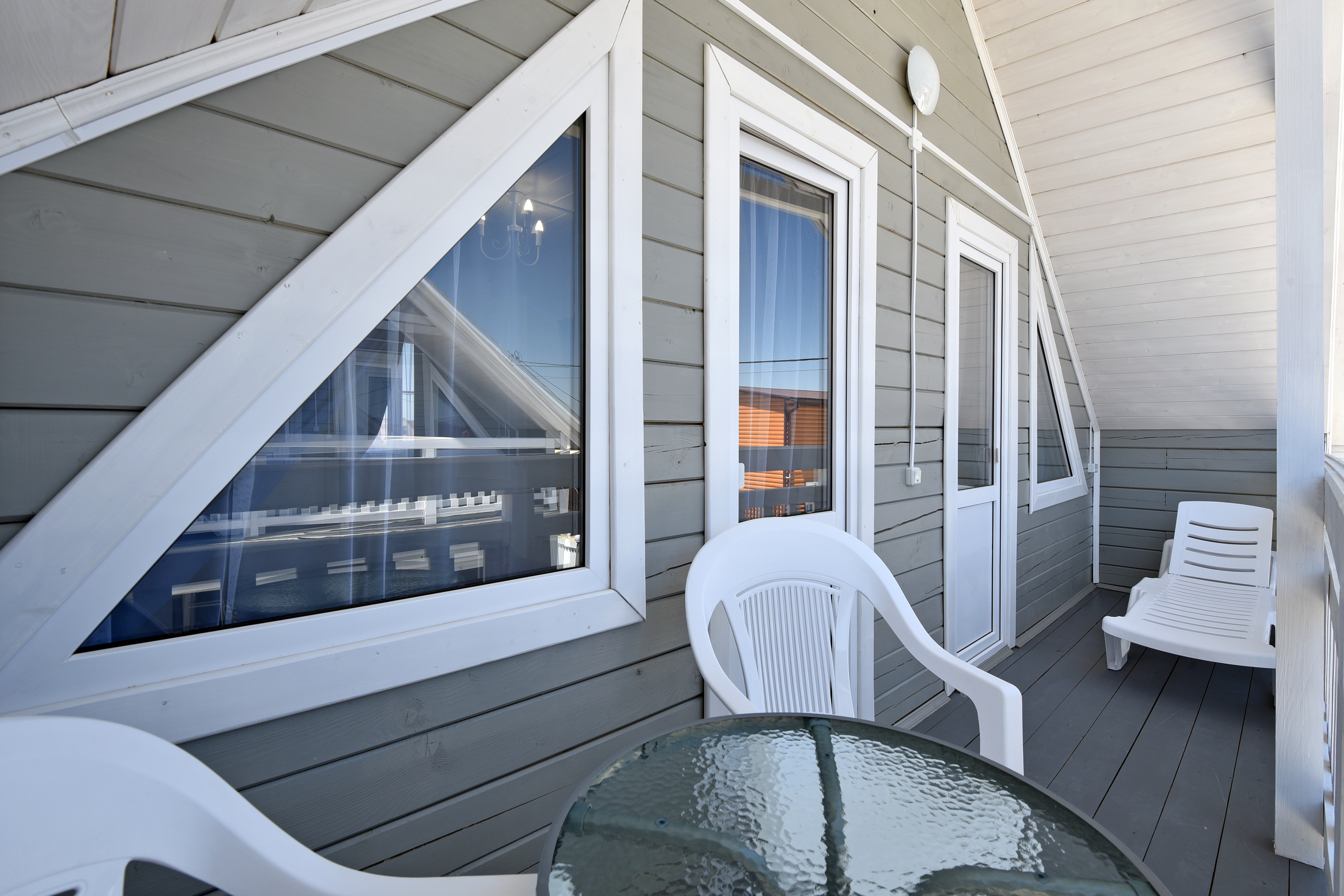 Фото Азовская чайка