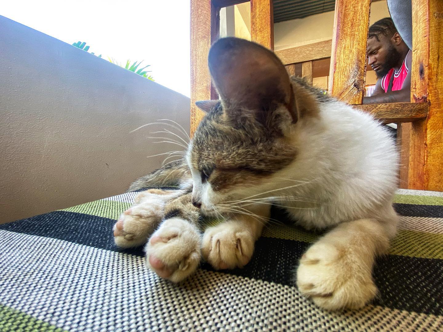 Фото Tropicana Kendwa Beach