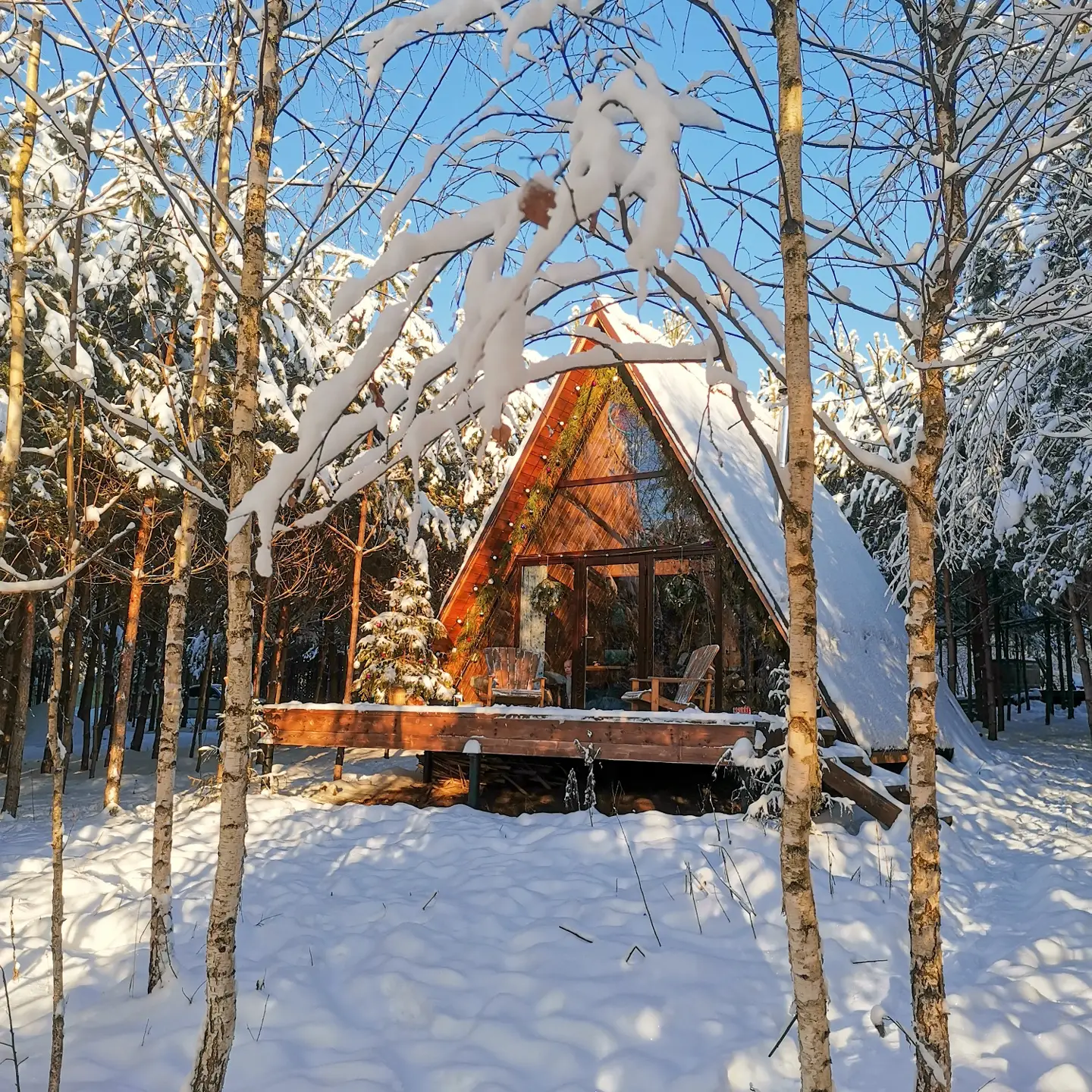 Фото О, Дни в Лесу