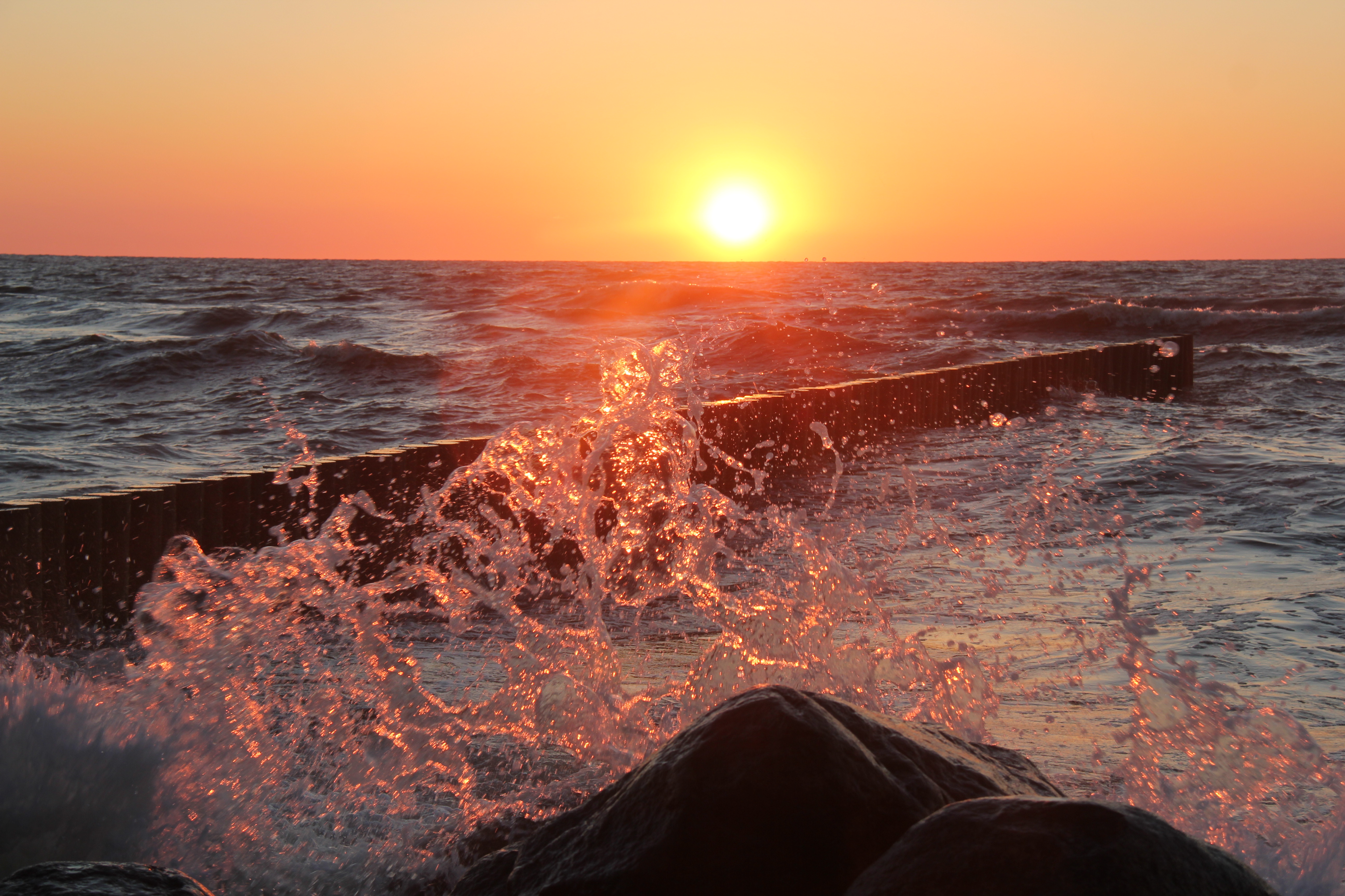 Фото Дикий берег