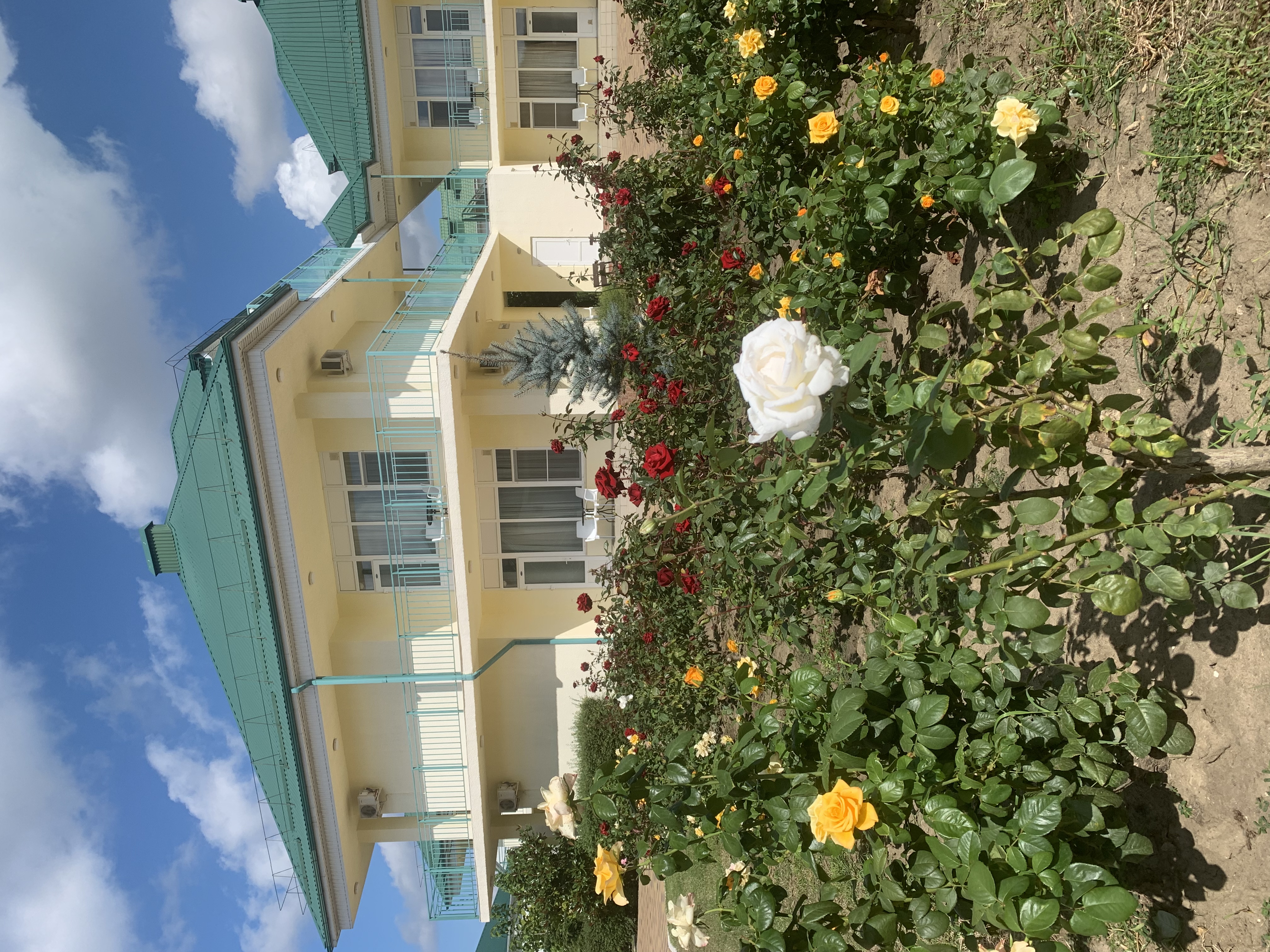 Фото Дюны Золотые