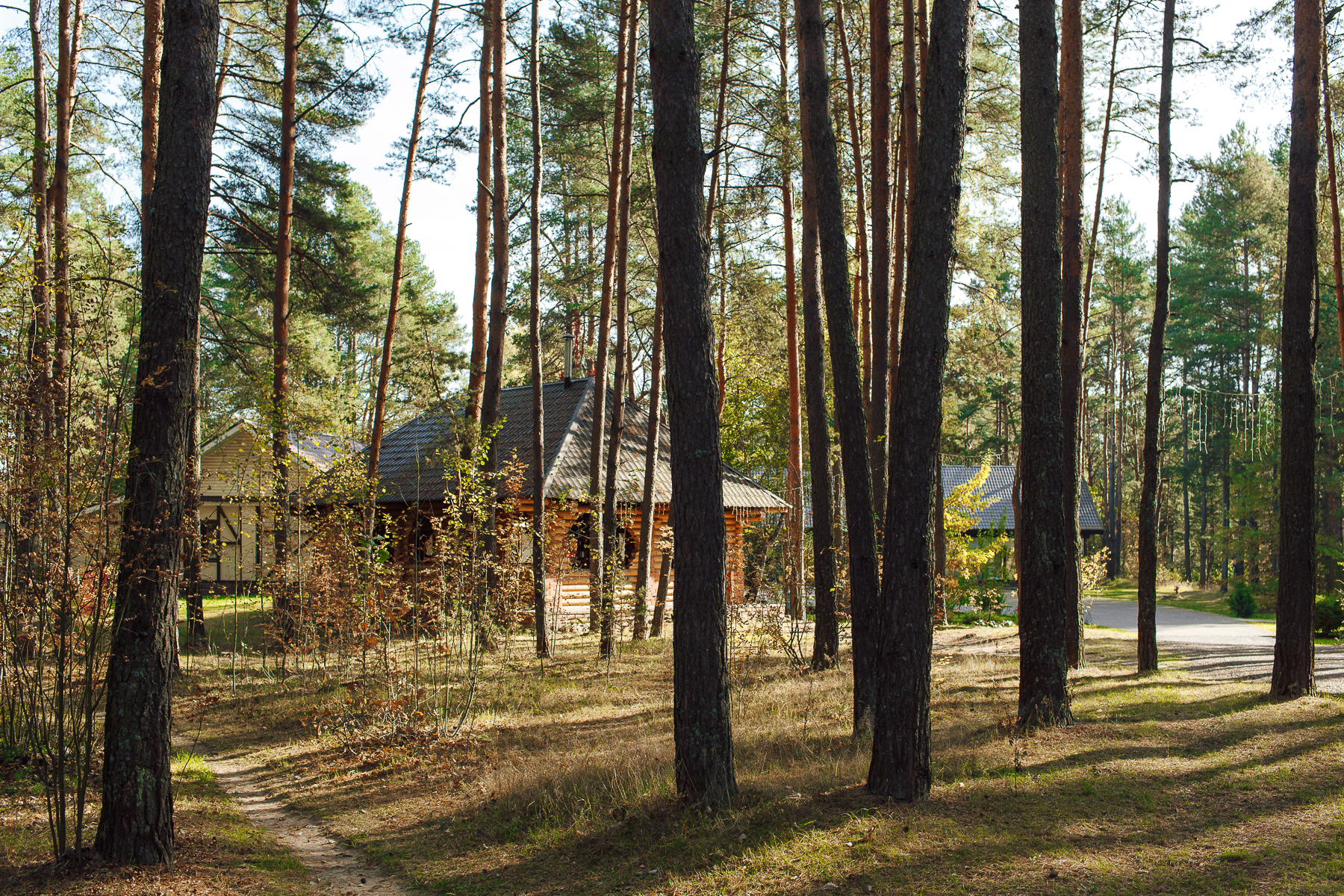 Фото Княжья речка