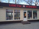 Azaliya set tsvetochnykh salonov - filial (Mira Avenue, 21литЗ), floristeria