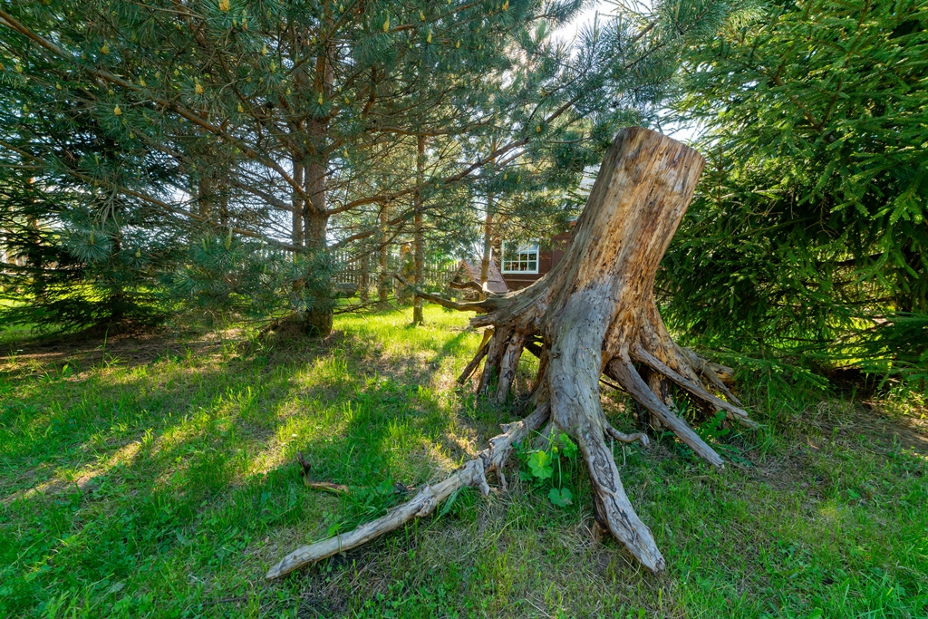 Фото Рыбацкая деревня