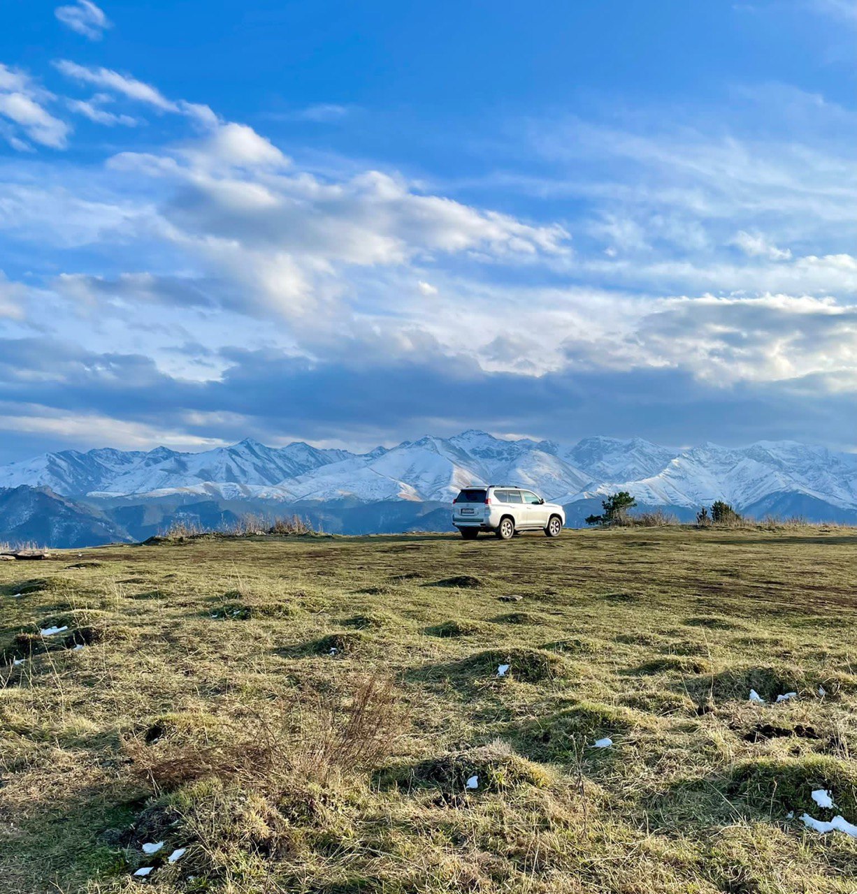 Фото Золотое Руно