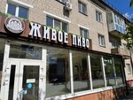 Даниловский бар (ulitsa Akademika Korolyova, 11А), bar, pub