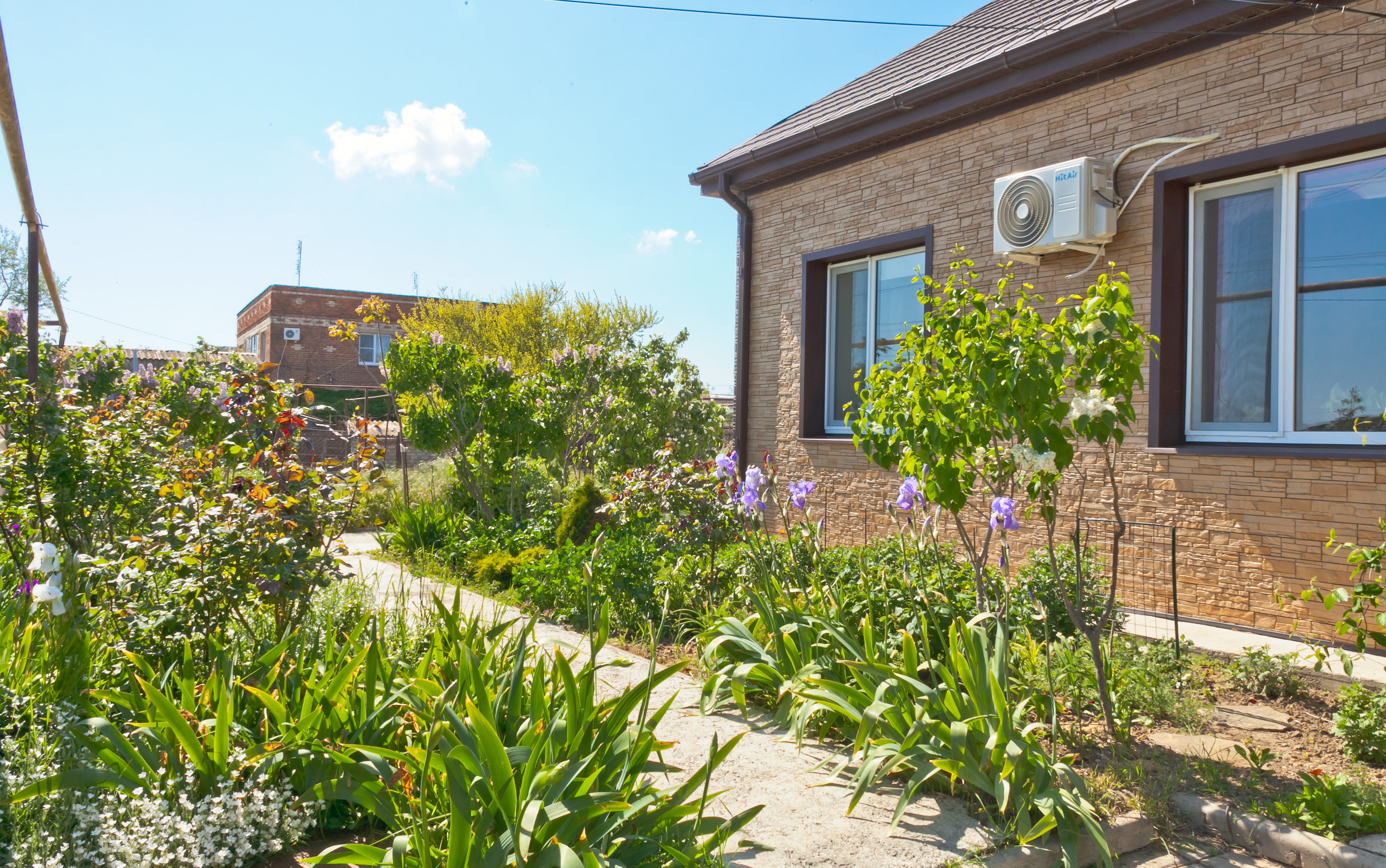 Фото Дом Ленивый Дельфин