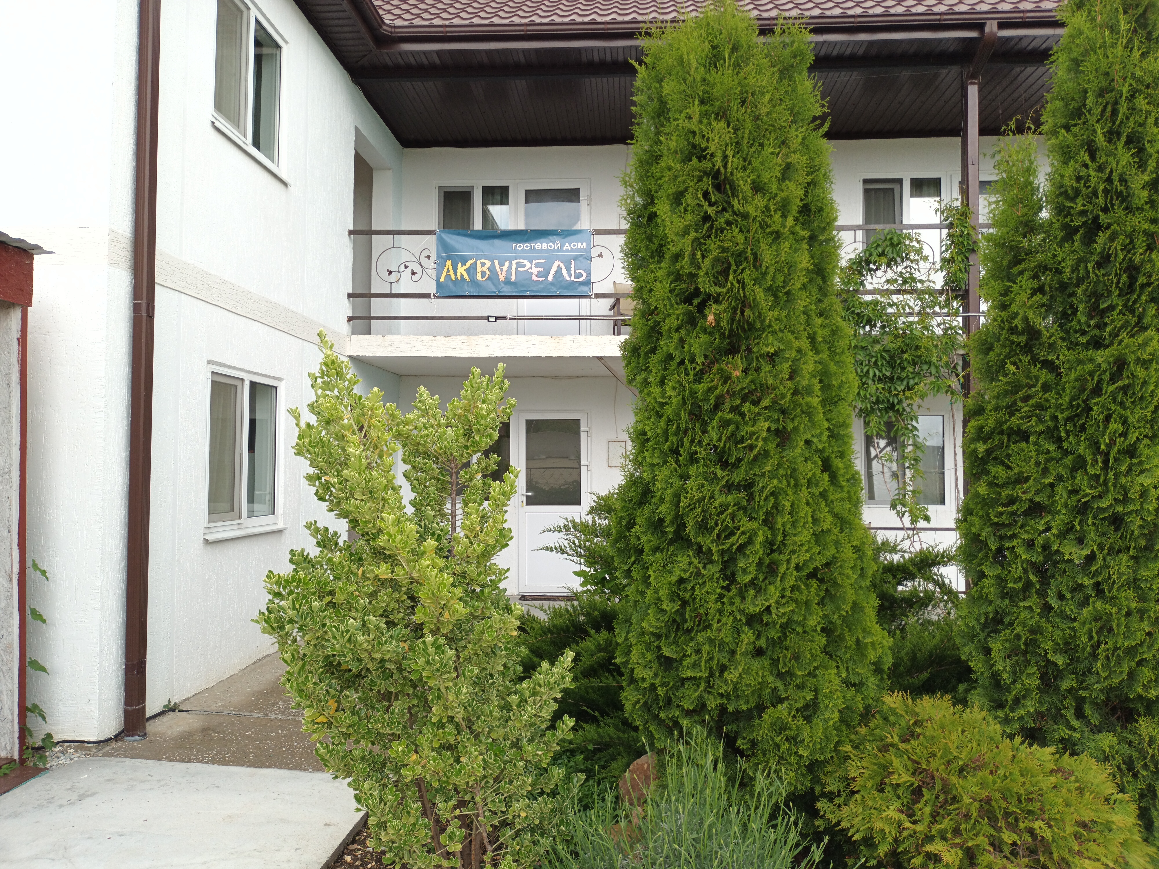 Фото Акварель