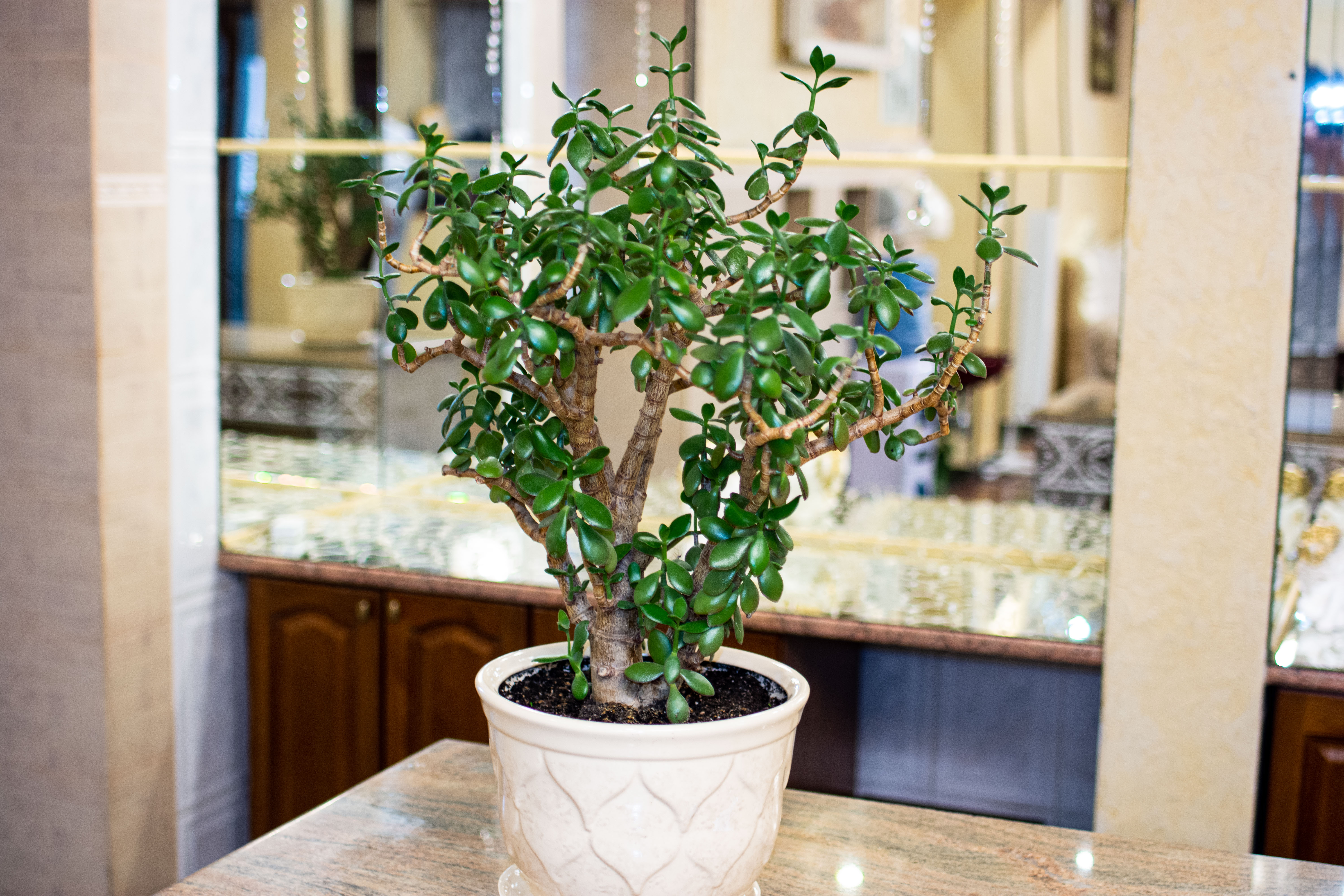 Фото Гранд отель Уют