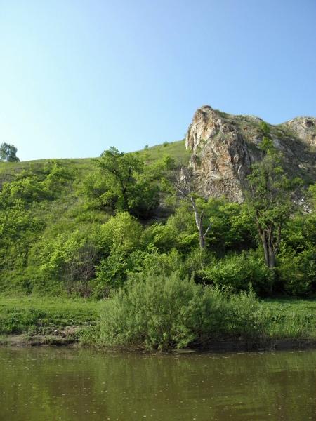 Фото Ясная поляна