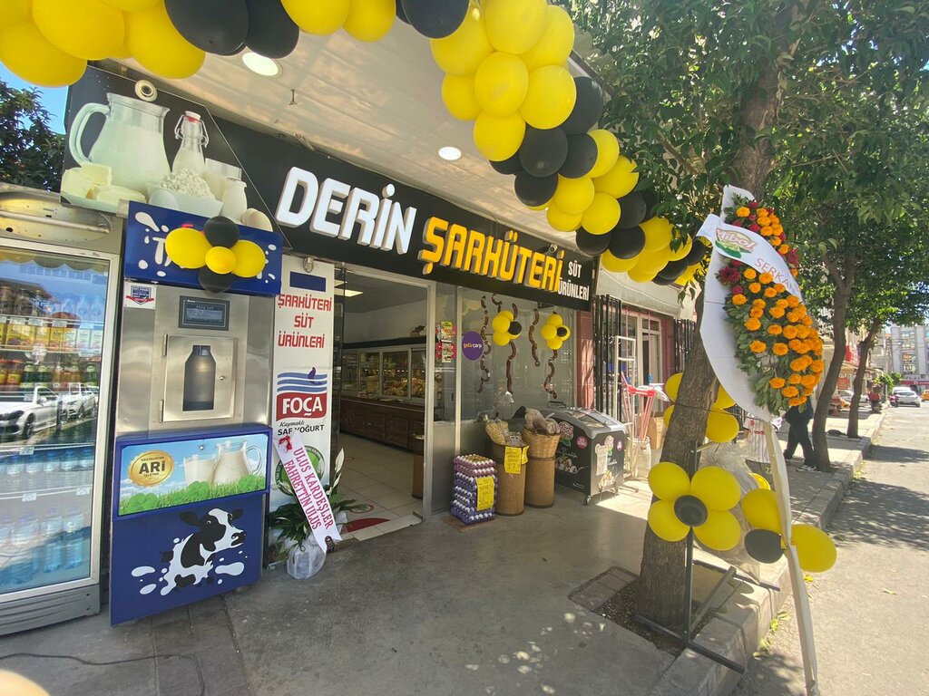 Dairy products shop Deep Delicatessen, Izmir, photo