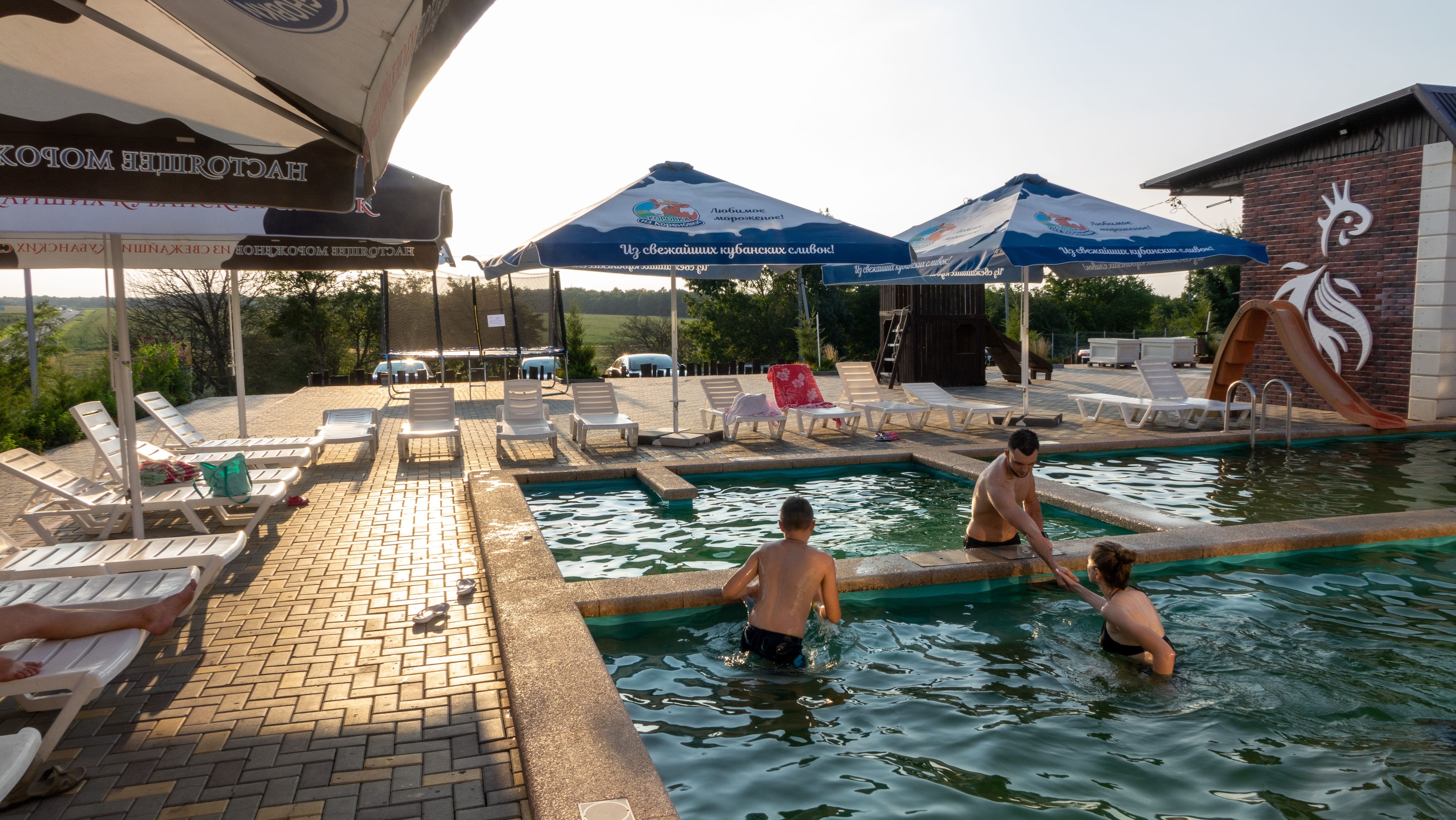 Фото Золотая рыбка