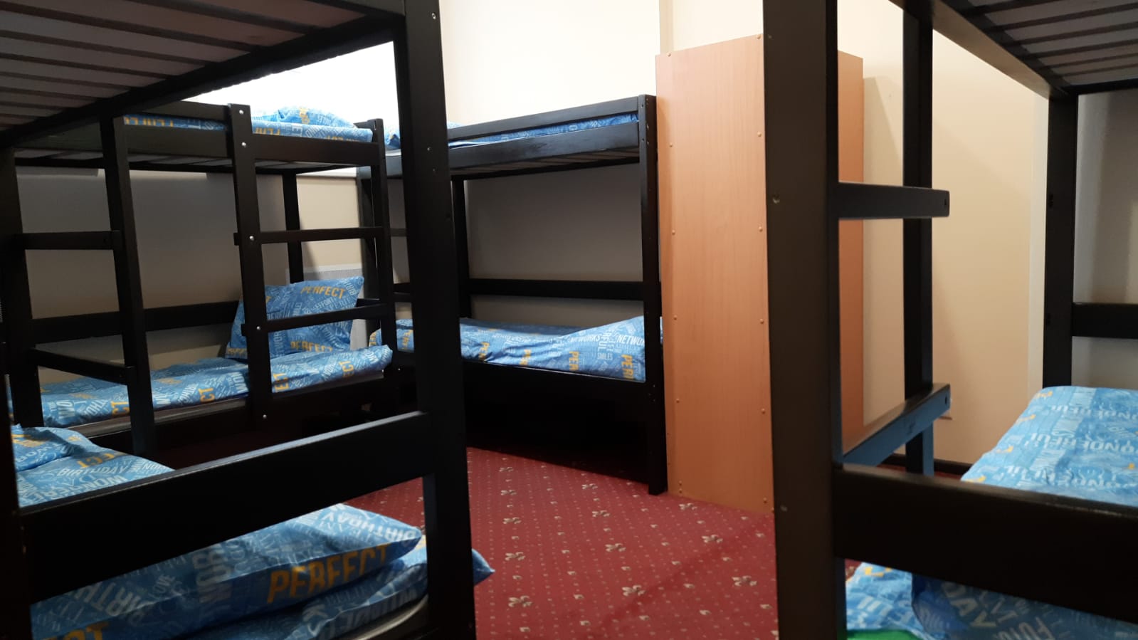 Фото Вежливый лось на Дмитровской