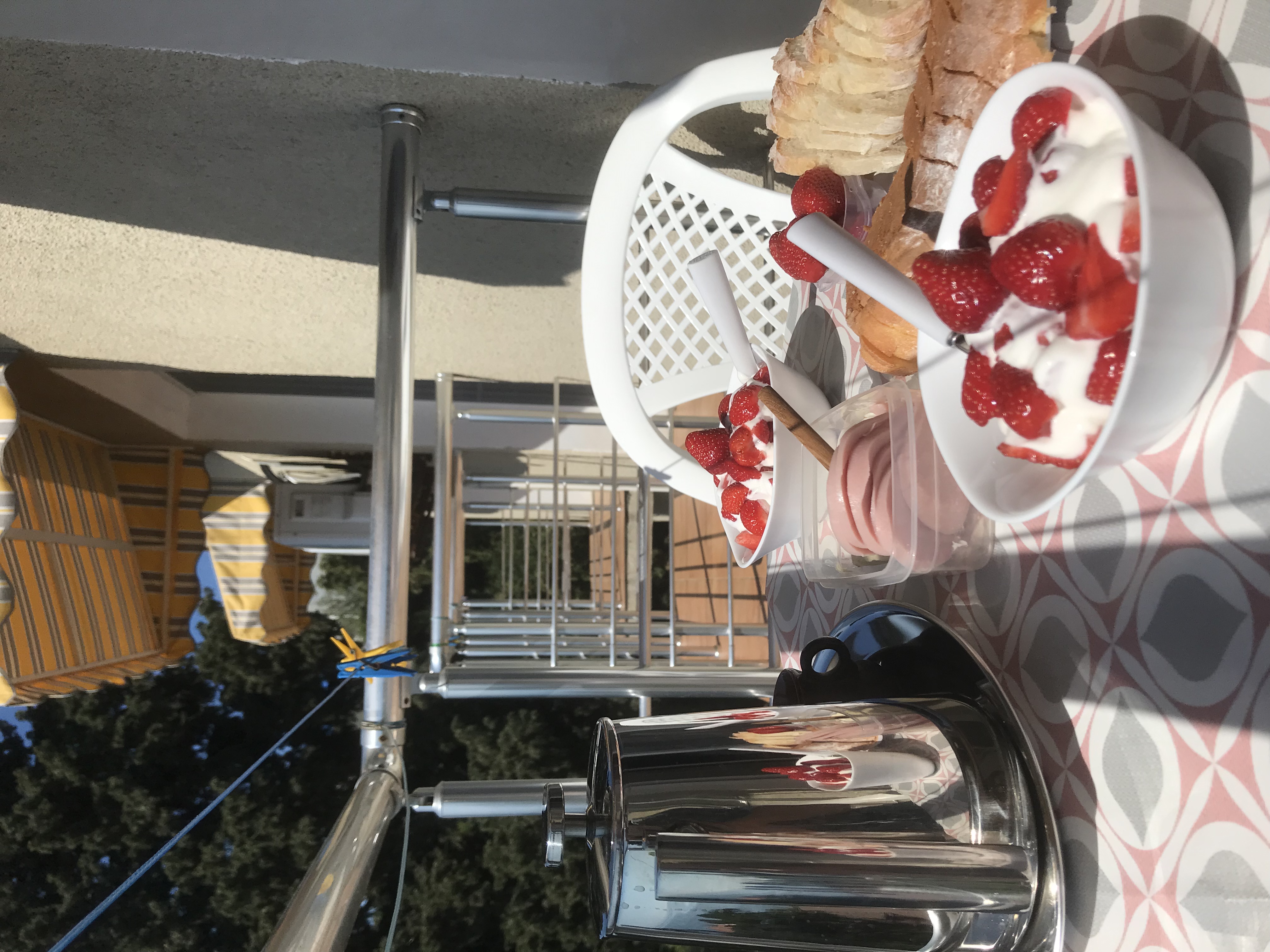 Фото Кедр-Запад