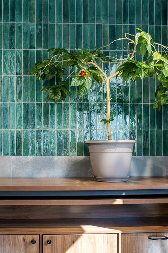 Ceramic tile Mosplitka, Arkhangelsk, photo
