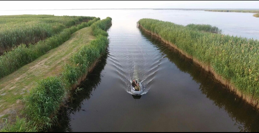 Фото Юность