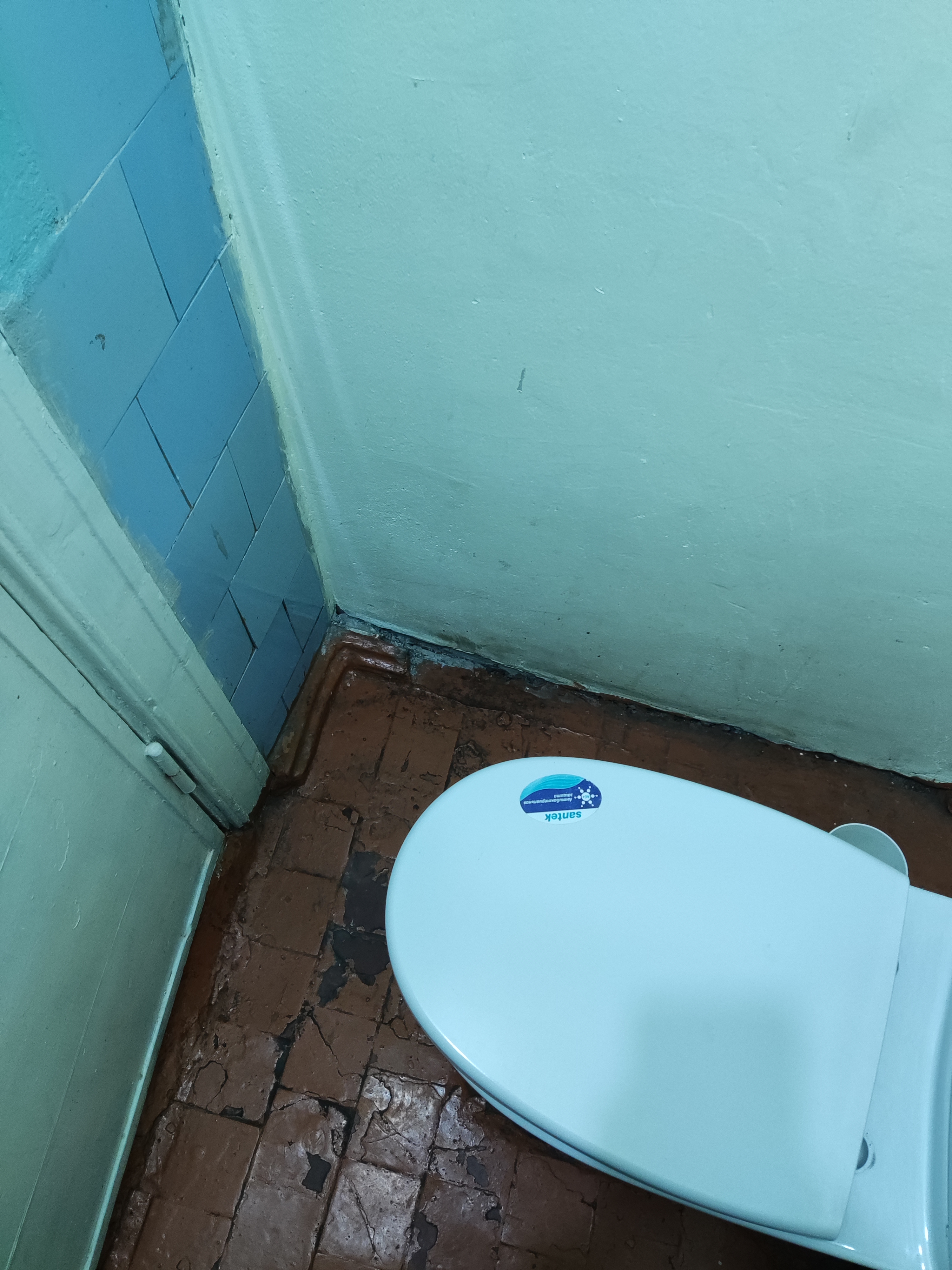 Фото Солнечная