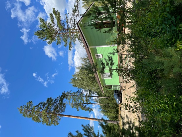 Фото Вереск