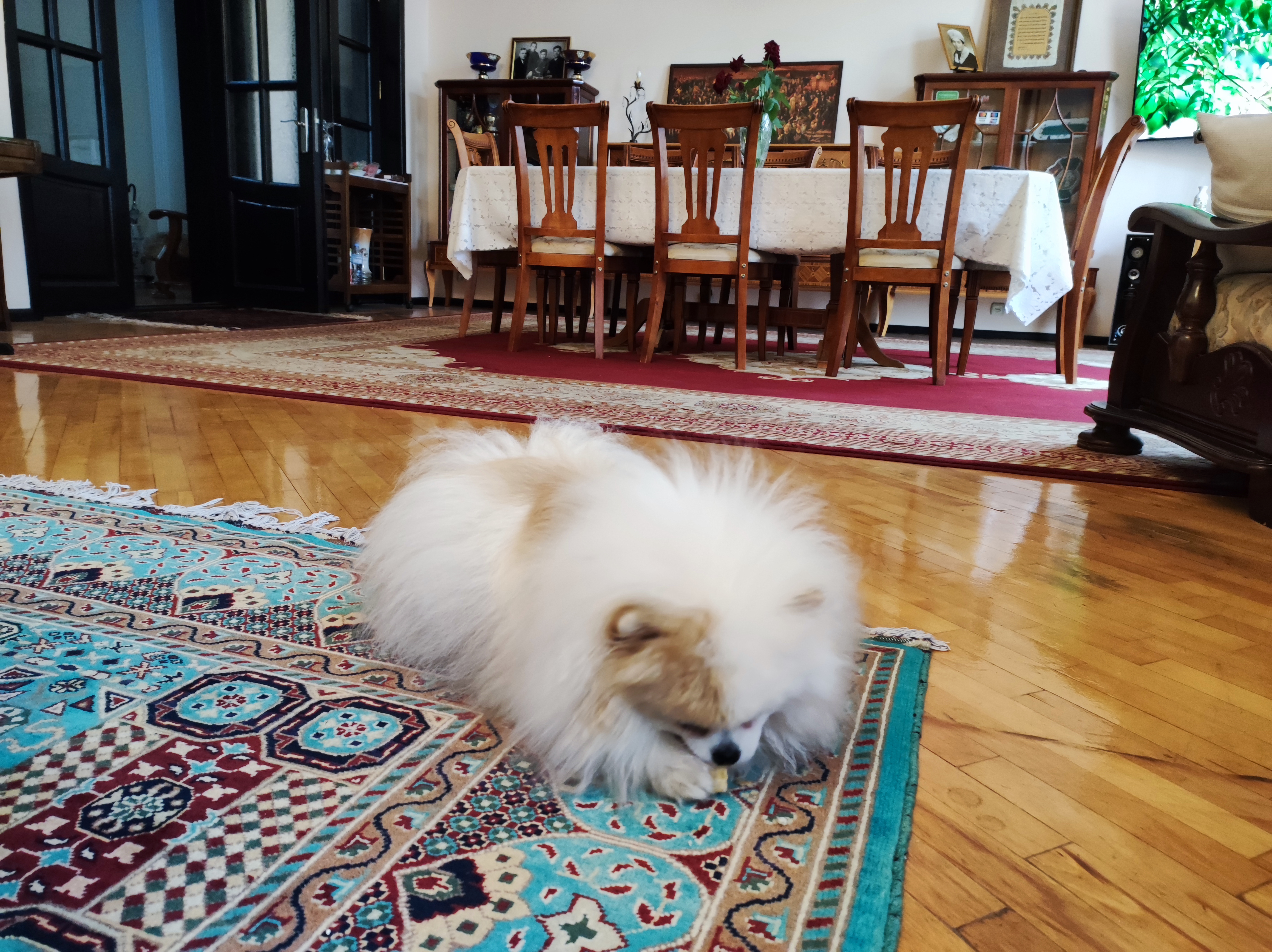 Фото Samarkand Safar