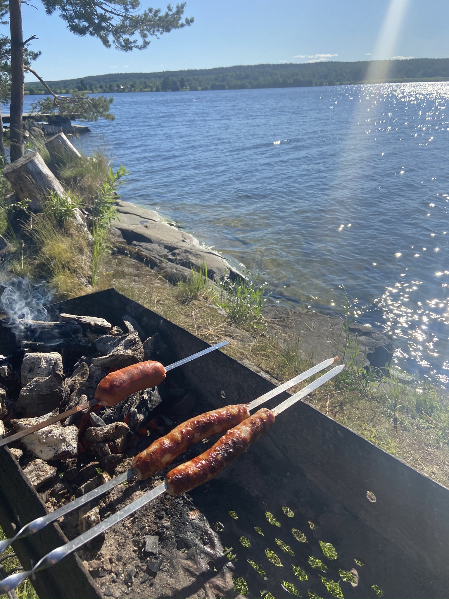 Фото Зайкина дача