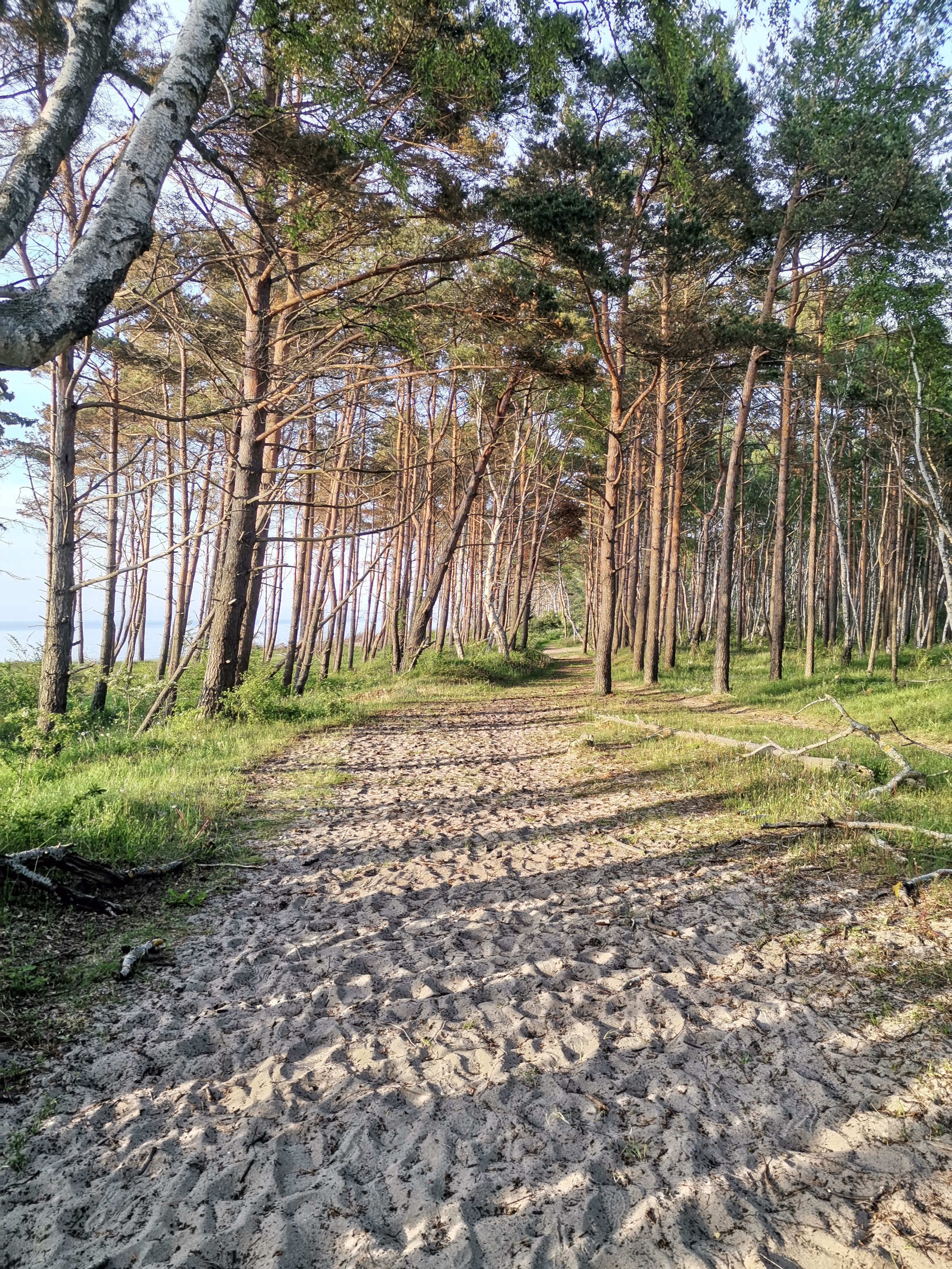 Фото Парк-отель Маякоvsкий