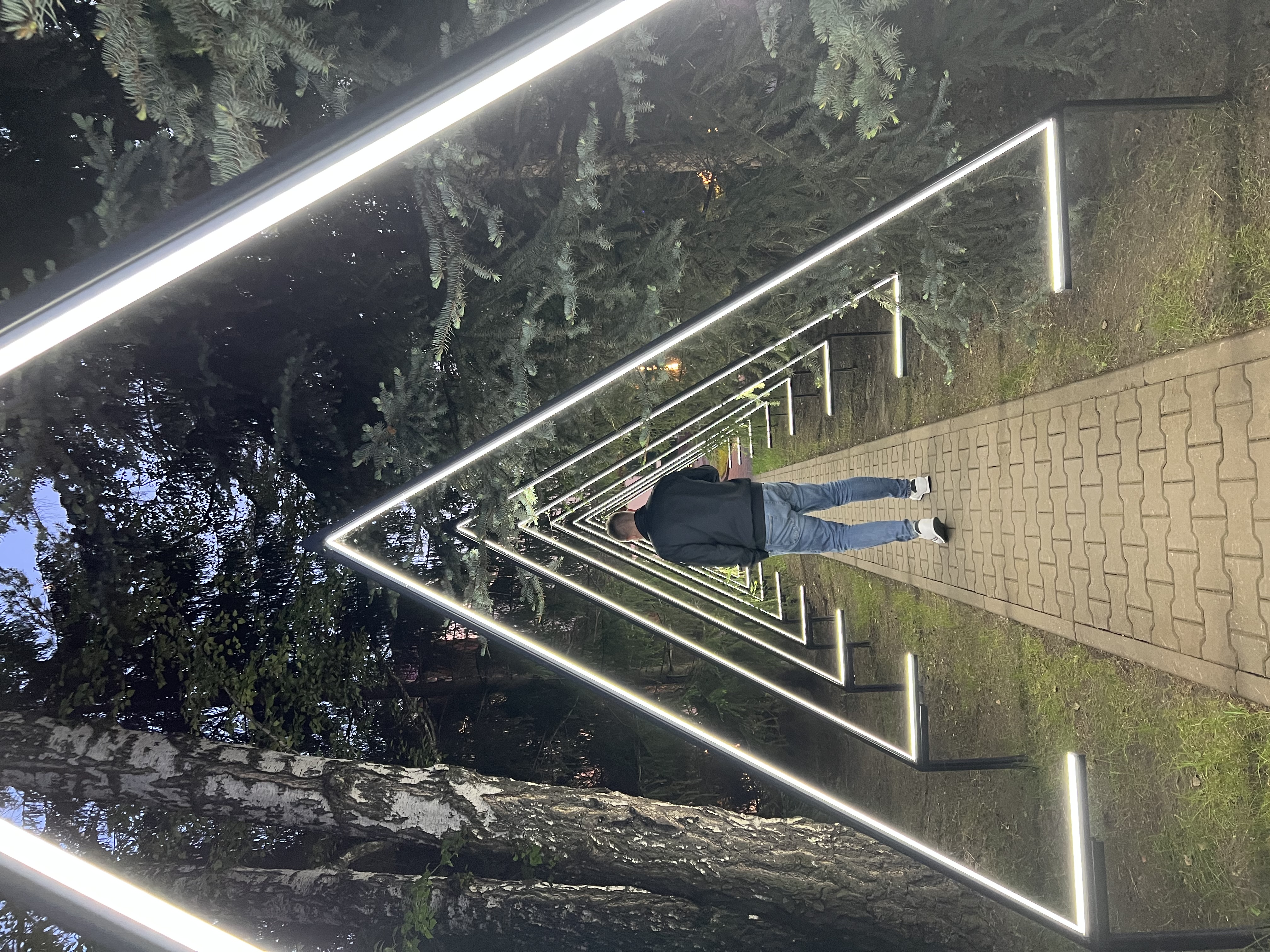 Фото Сосновый бор