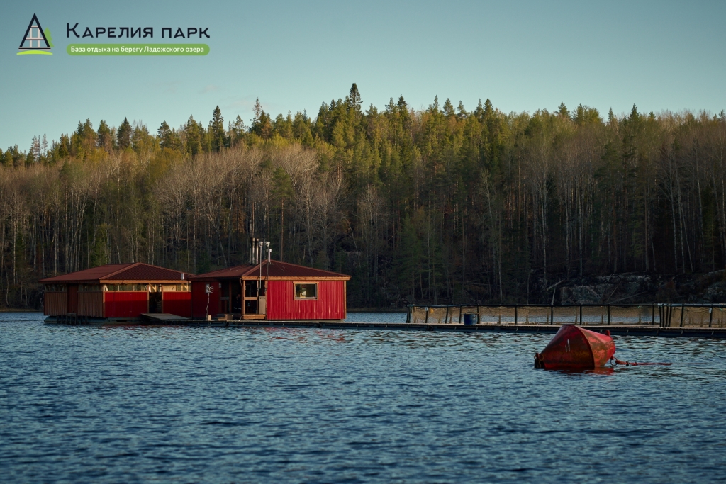 Фото Карелия парк