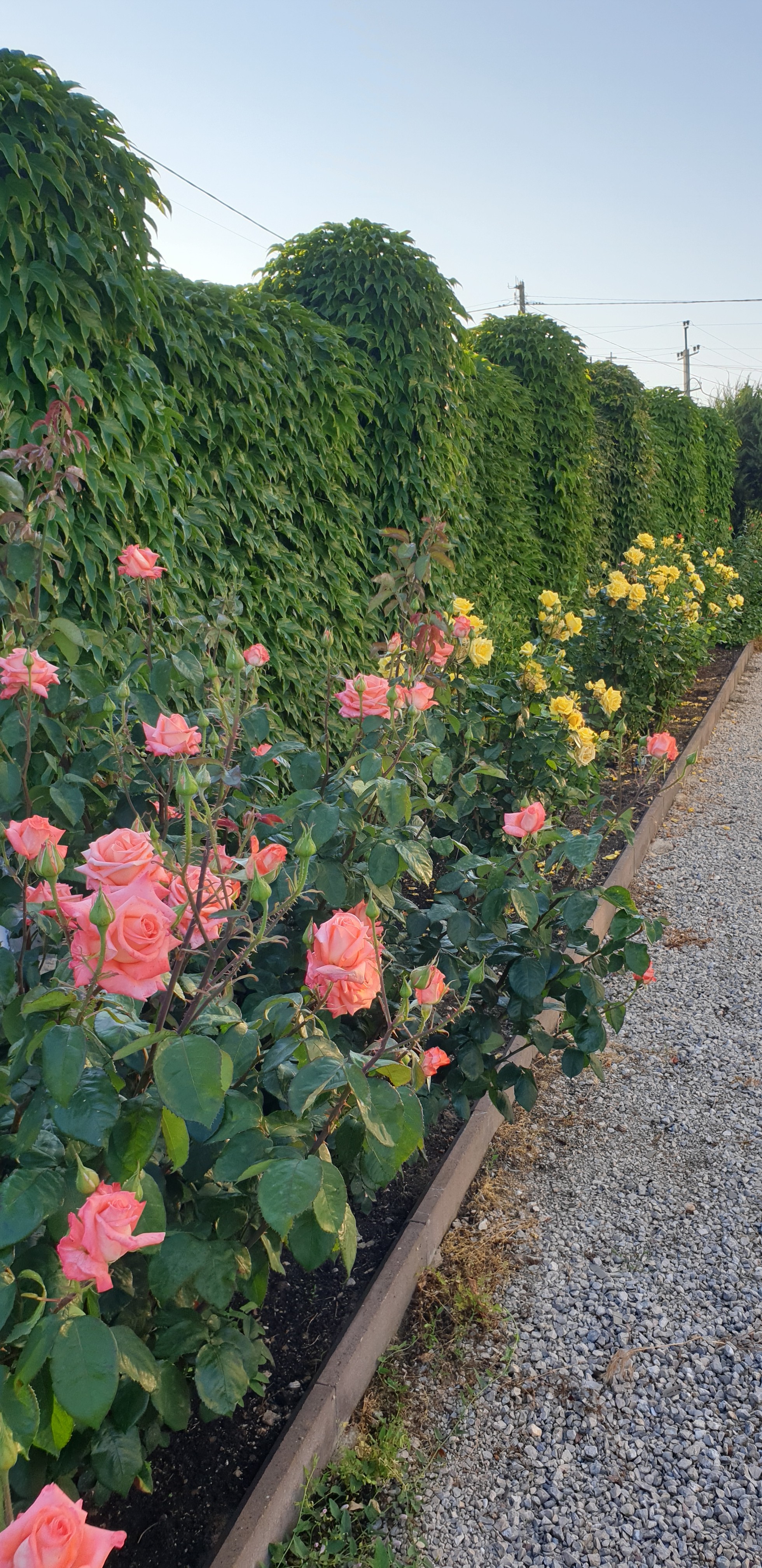 Фото Русская усадьба